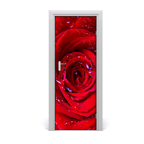 Papier peint porte Rose rouge