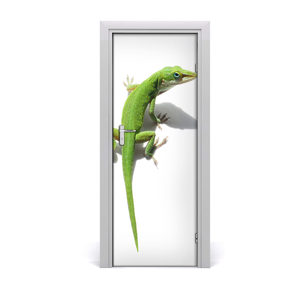 Papier peint porte Lézard vert