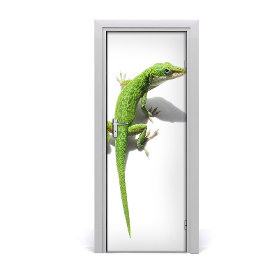 Papier peint porte Lézard vert