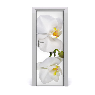 Sticker de porte Orchidée blanche