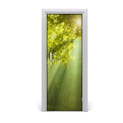 Sticker porte Soleil dans une jeune forêt