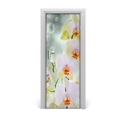 Sticker porte Fleur d'orchidée