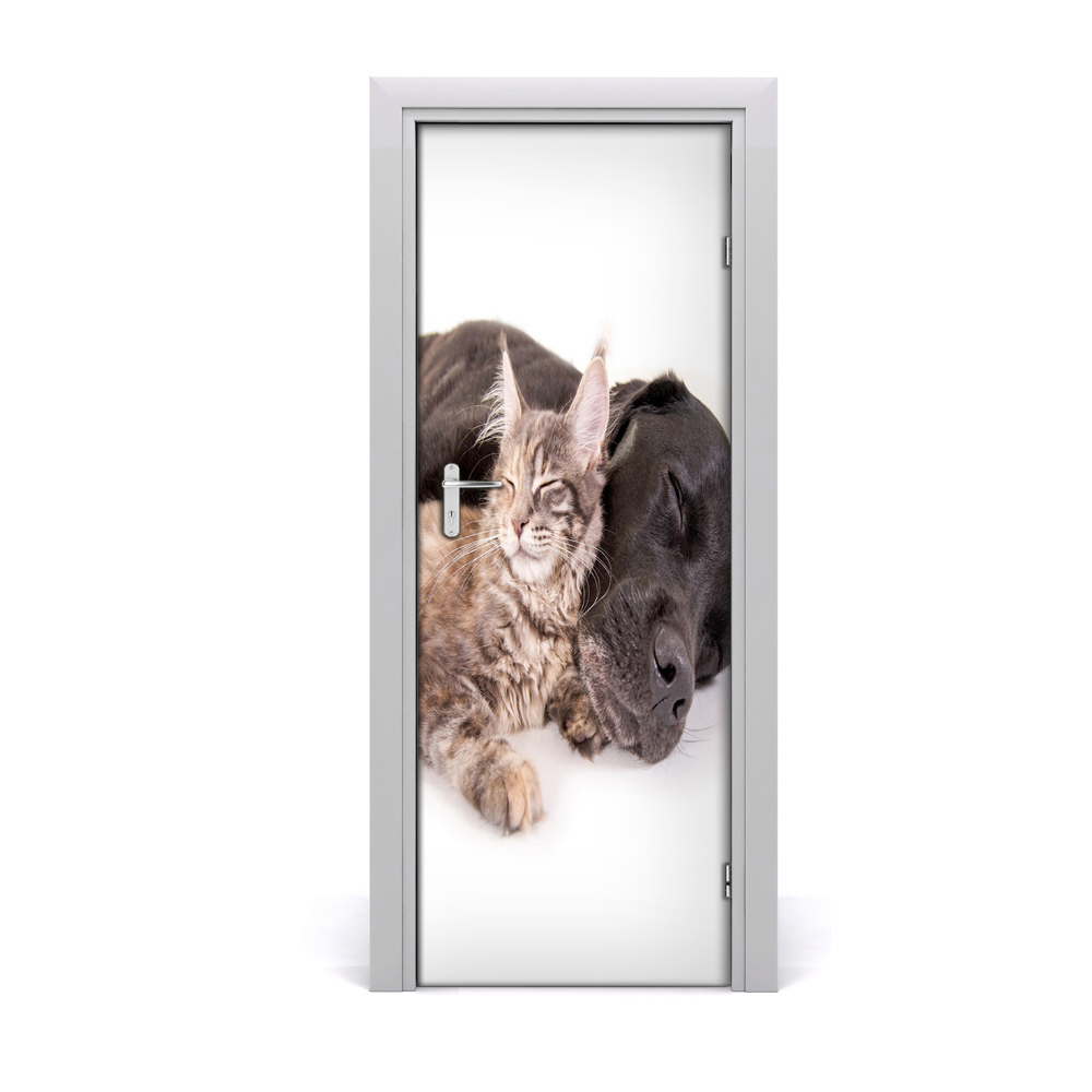 Décoration porte intérieur Chien et chat