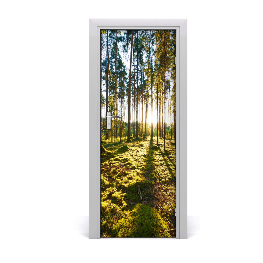 Décoration porte Rayons de soleil dans les arbres