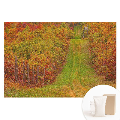 Papier peint panoramique intissé Route d'automne bordée d'arbres aux couleurs chatoyantes