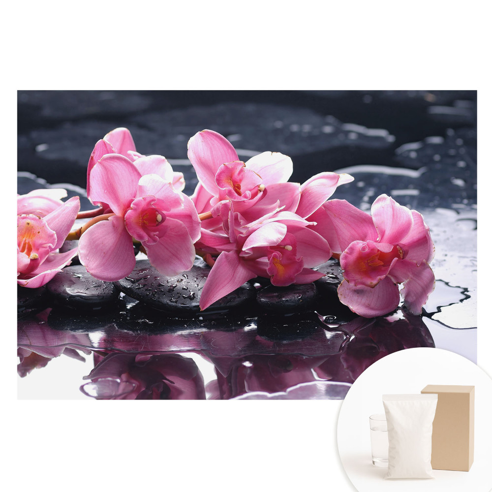 Papier peint photo grand format Orchidées roses sur pierres