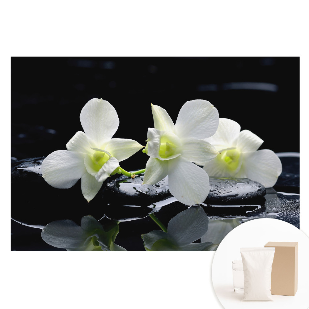 Papier peint photo sur tissu non tissé Orchidées blanches sur pierres