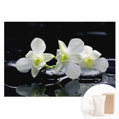 Papier peint photo sur tissu non tissé Orchidées blanches sur pierres