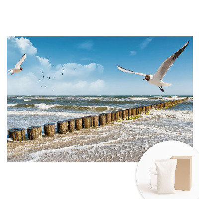 Papier peint photo grand format Mouettes au-dessus de la mer