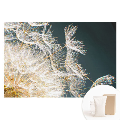 Papier peint photo imprimé sur tissu non tissé Les graines éthérées du délicat pissenlit