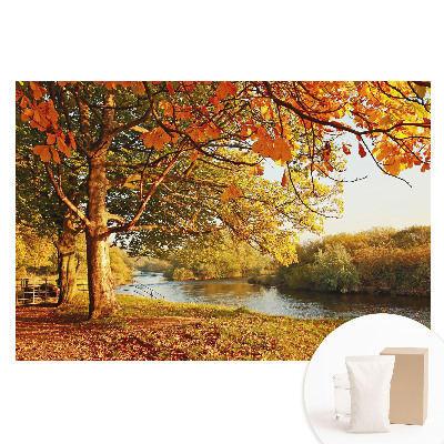 Papier peint intissé imprimé Paysage fluvial d'automne, couleurs apaisantes