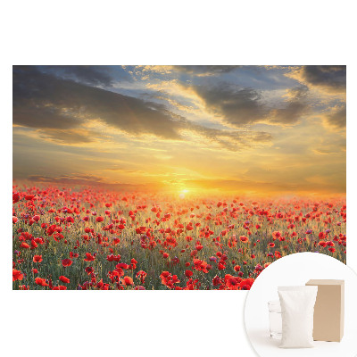 Papier peint photo intissé Champ de coquelicots au petit matin avec coucher de soleil