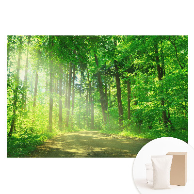 Papier peint photo imprimé sur tissu non tissé Forêt verte, soleil, paix