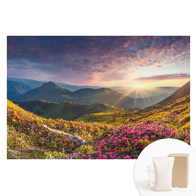 Papier peint photographique sur tissu non tissé Paysage de montagne sous le soleil