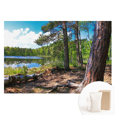 Papier peint intissé Paysage forestier au bord du lac