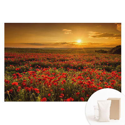 Papier peint panoramique intissé Coucher de soleil dans un champ de coquelicots
