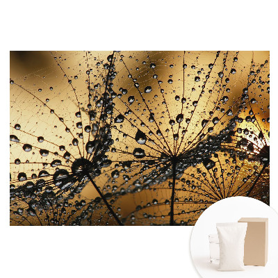 Papier peint photo grand format Des gouttes élégantes sur le filet à la lumière
