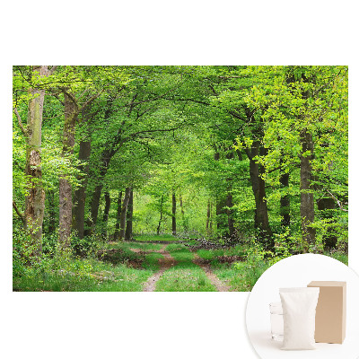 Papier peint photo grand format Forêt verdoyante au paysage harmonieux
