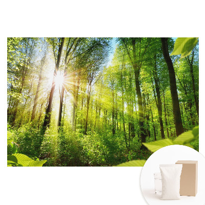Papier peint photo sur tissu non tissé Paysage de forêt sous un soleil radieux