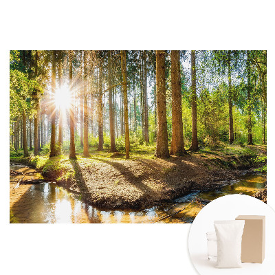 Papier peint photo sur intissé motif forêt au soleil