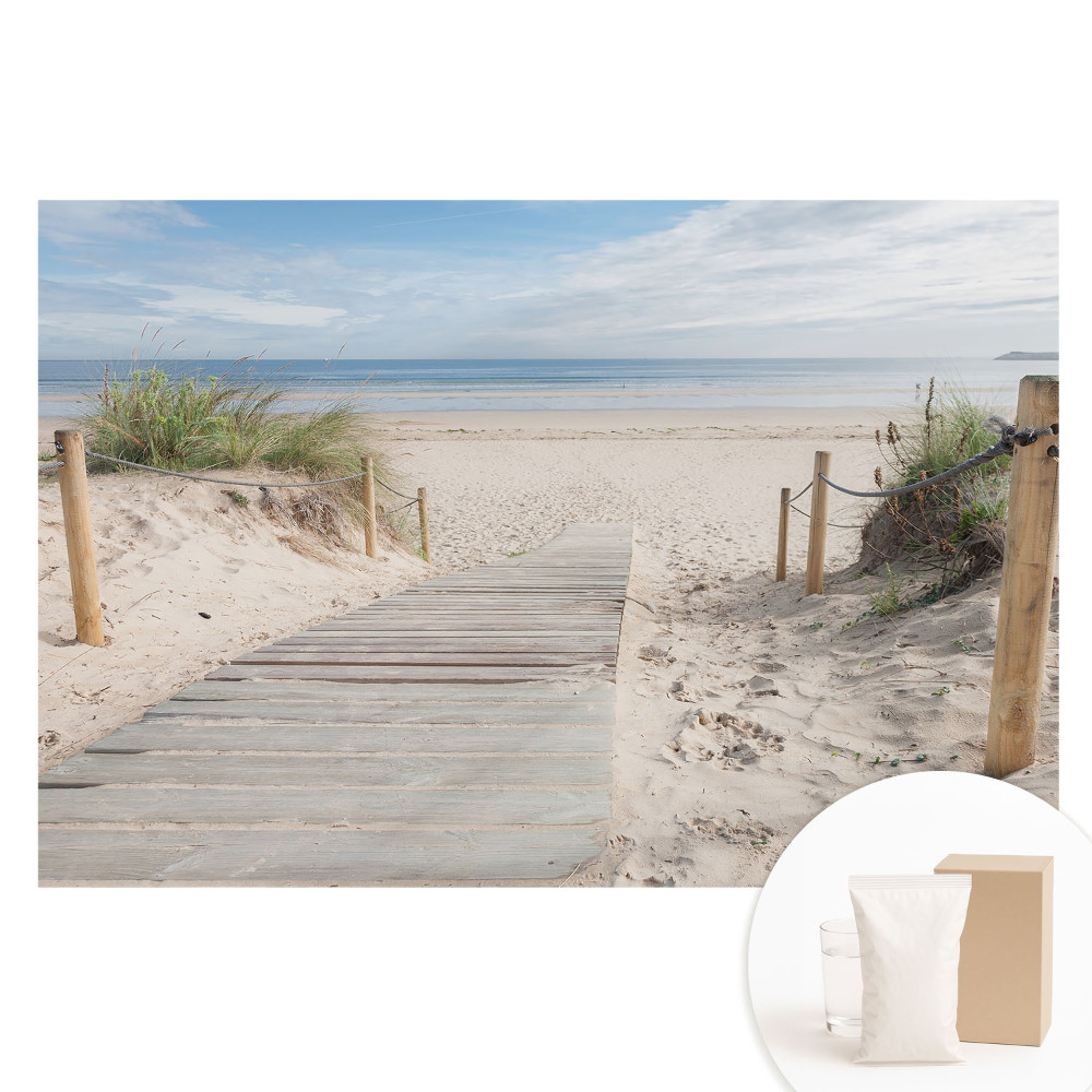 Papier peint intissé Entrée de la plage dans les dunes