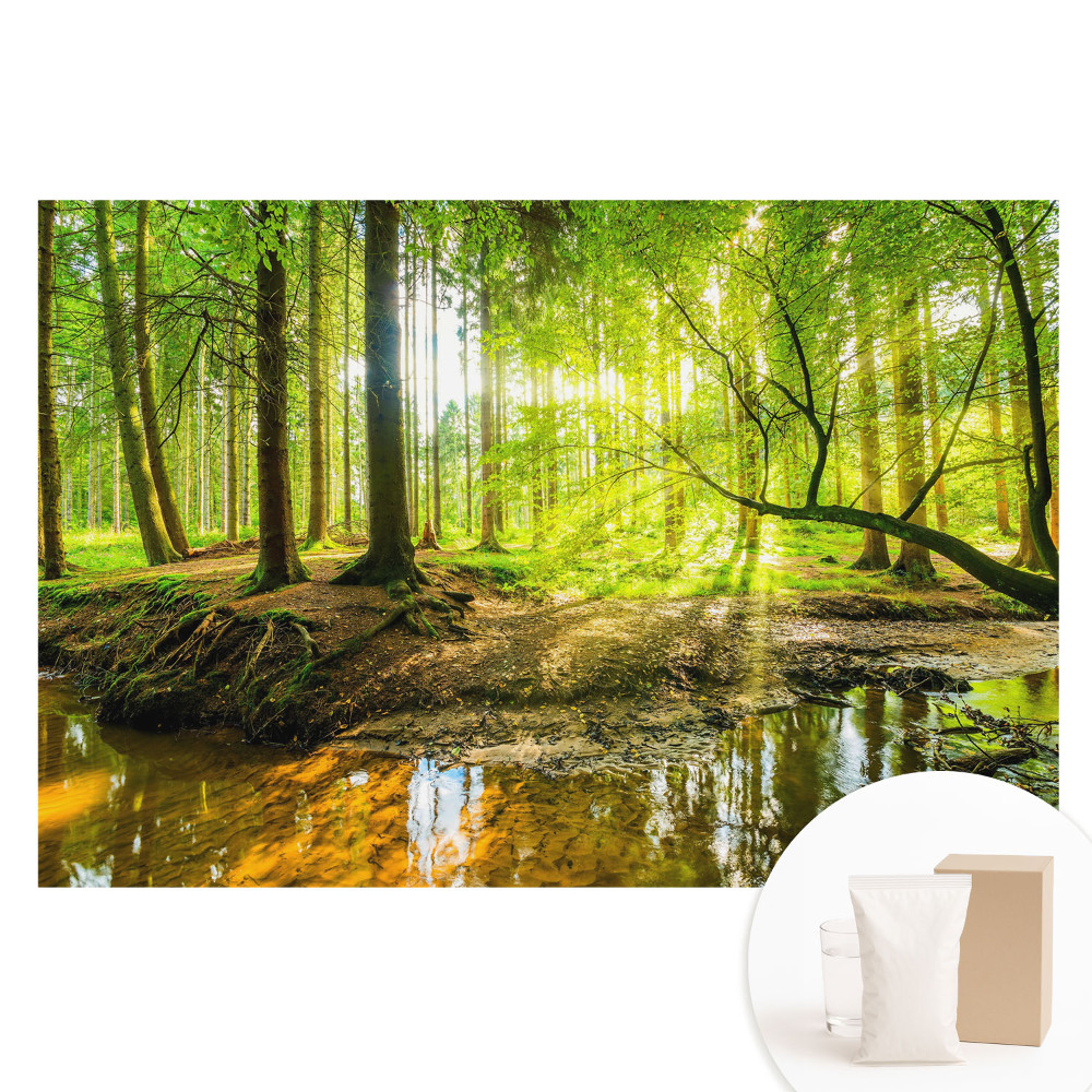 Papier peint photo intissé Paix de la forêt avec lumière et ruisseau