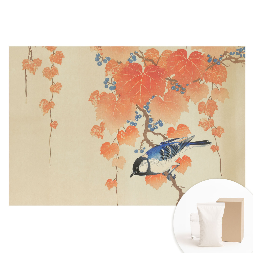 Papier peint intissé imprimé motif oiseau sur branche de vigne avec baies