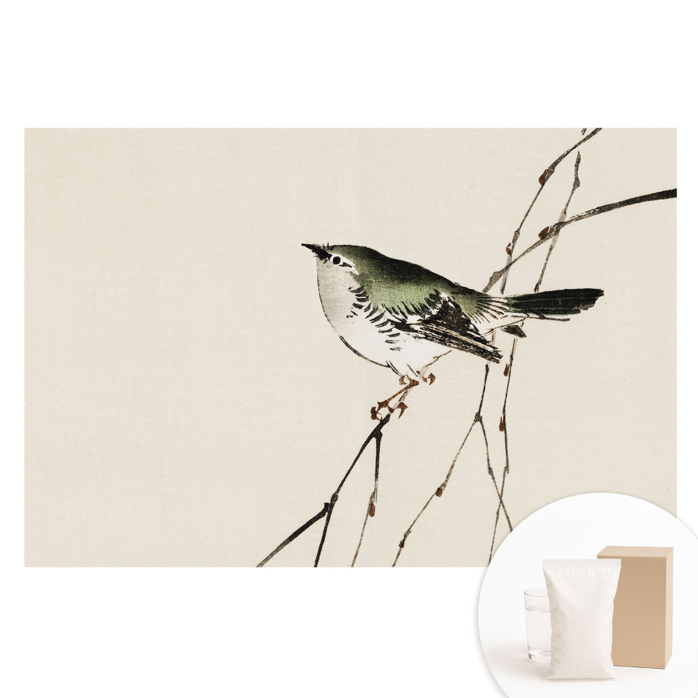 Papier peint intissé Oiseau sur une branche au design minimaliste