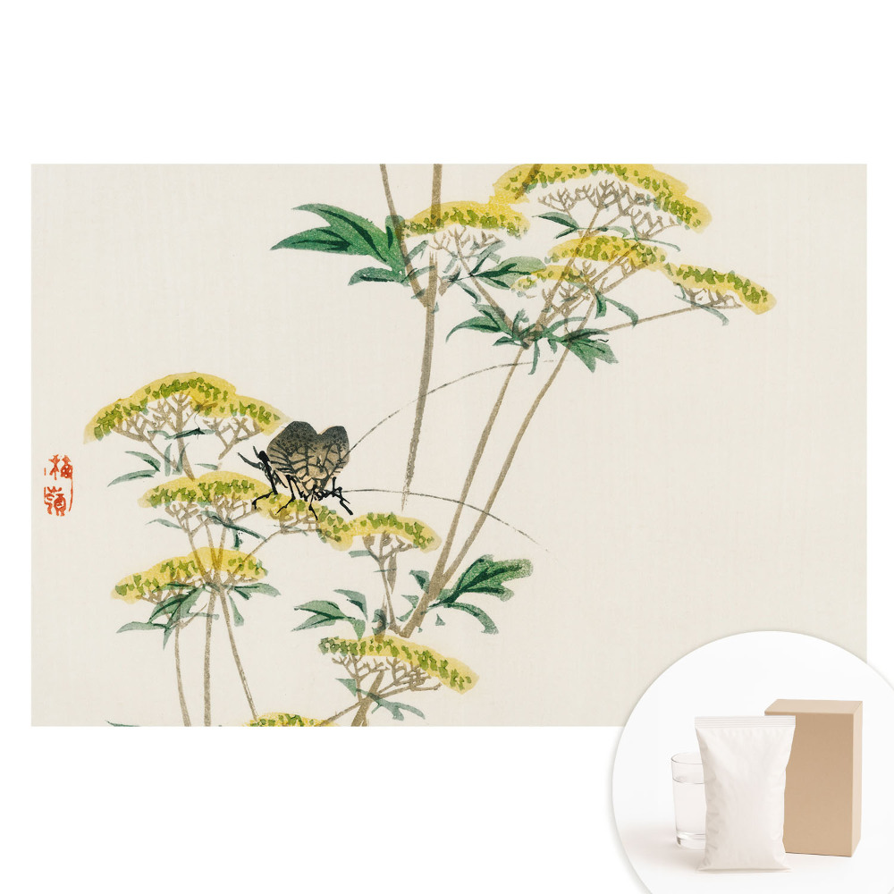 Papier peint intissé imprimé Fleurs subtiles, harmonie des insectes, nature