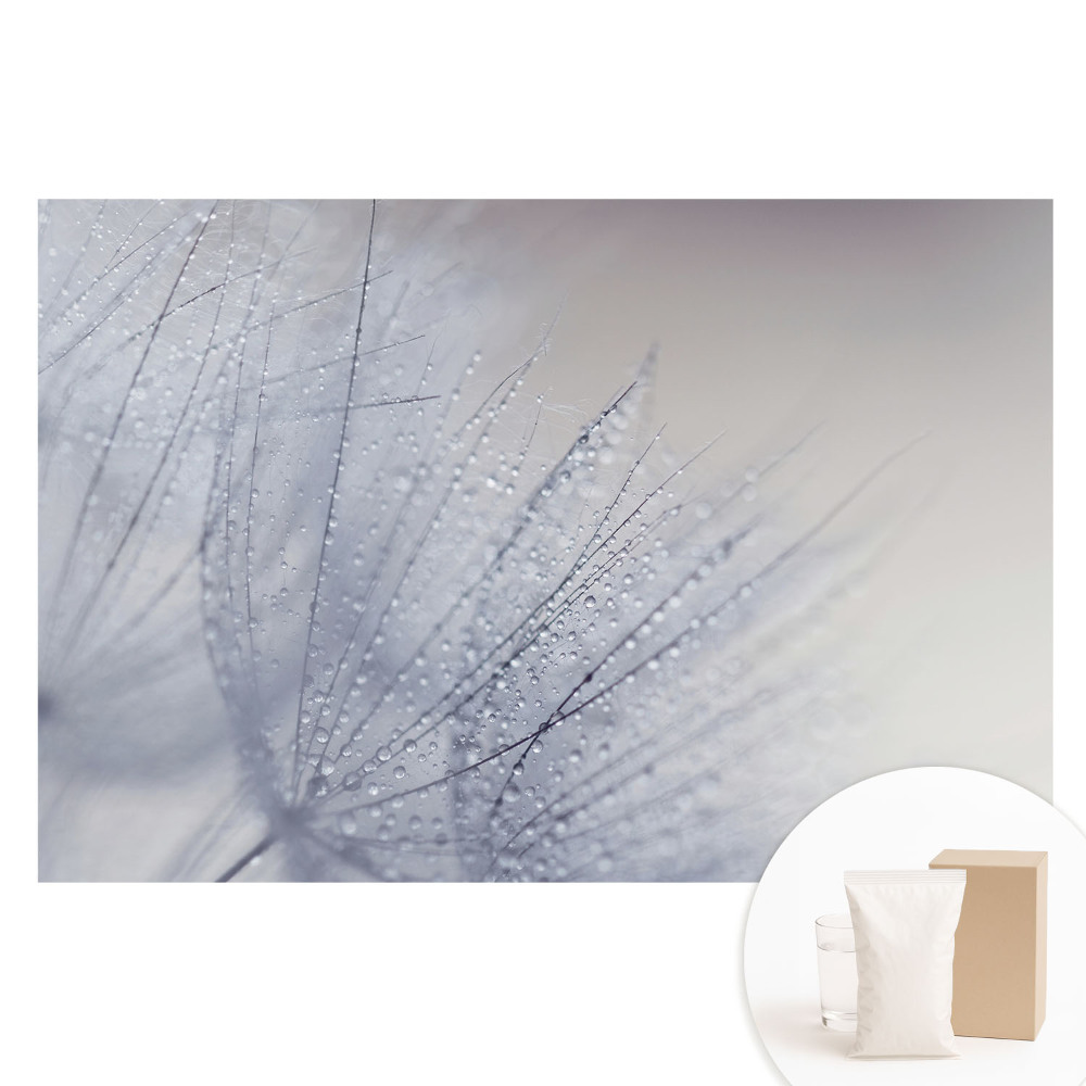 Papier peint intissé Macro de gouttelettes sur des fibres de pissenlit