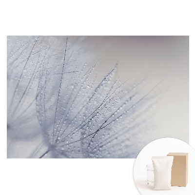 Papier peint intissé Macro de gouttelettes sur des fibres de pissenlit