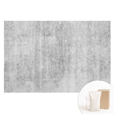 Papier peint photo sur tissu non tissé Structure grise brute dans un style minimaliste