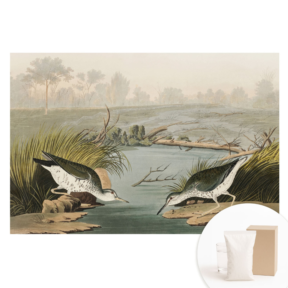 Papier peint intissé imprimé Oiseaux au bord du lac