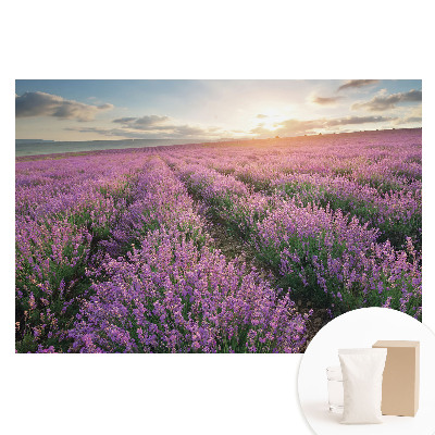 Papier peint photo sur intissé coucher de soleil lavande pourpre
