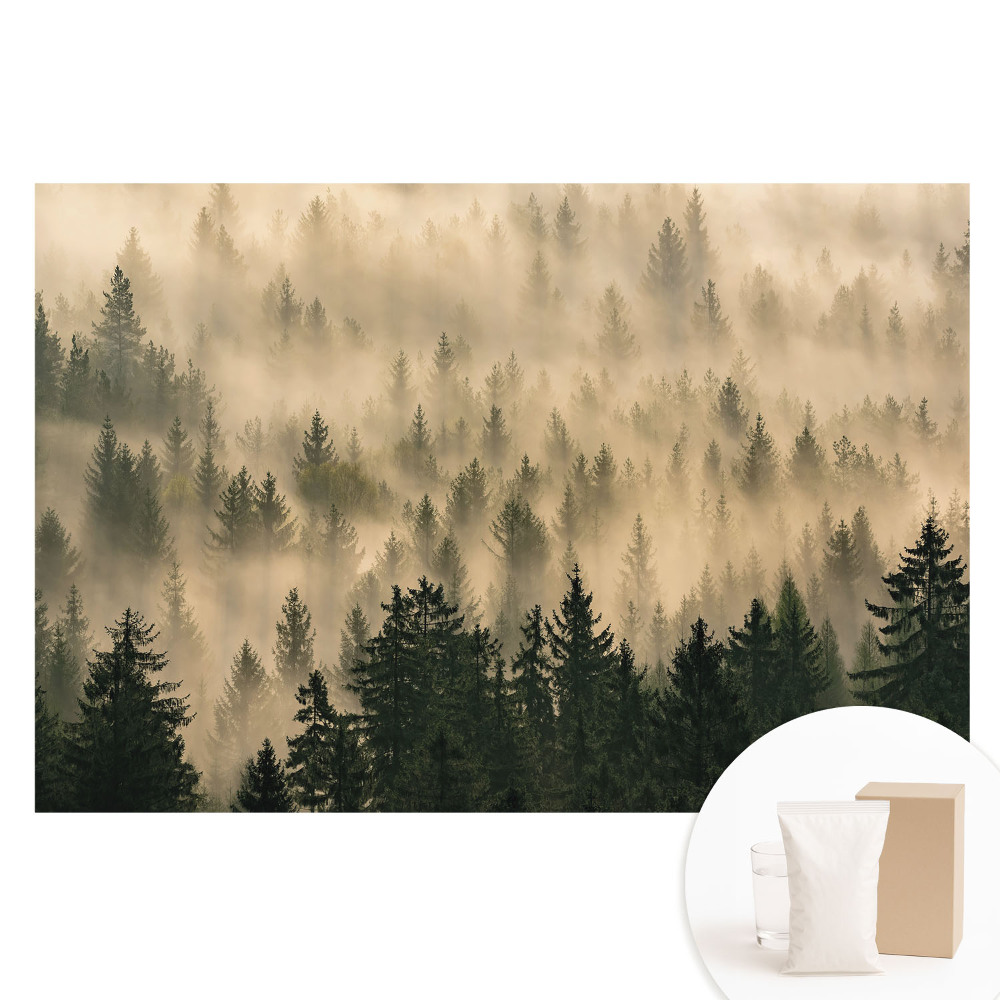 Papier peint intissé photo Forêt dans le brouillard matinal