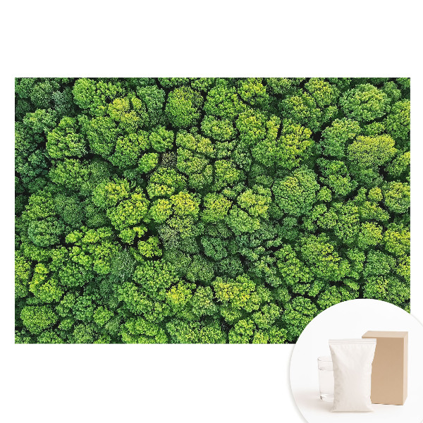 Papier peint photo grand format pour le mur Forêt verte vue du ciel