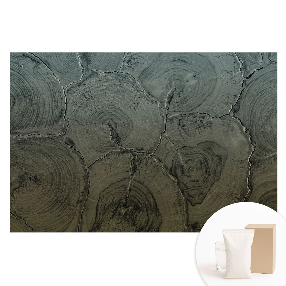 Papier peint photo grand format motif grain de bois gris classique