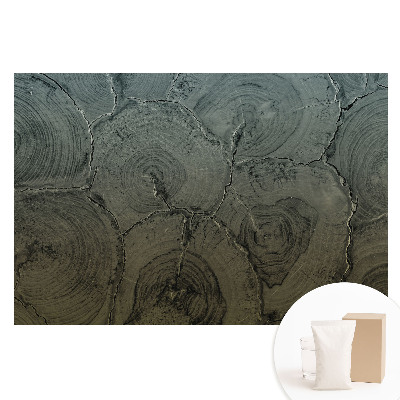 Papier peint photo grand format motif grain de bois gris classique