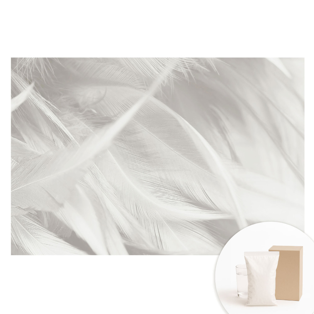 Papier peint intissé photographique Plumes blanches duveteuses