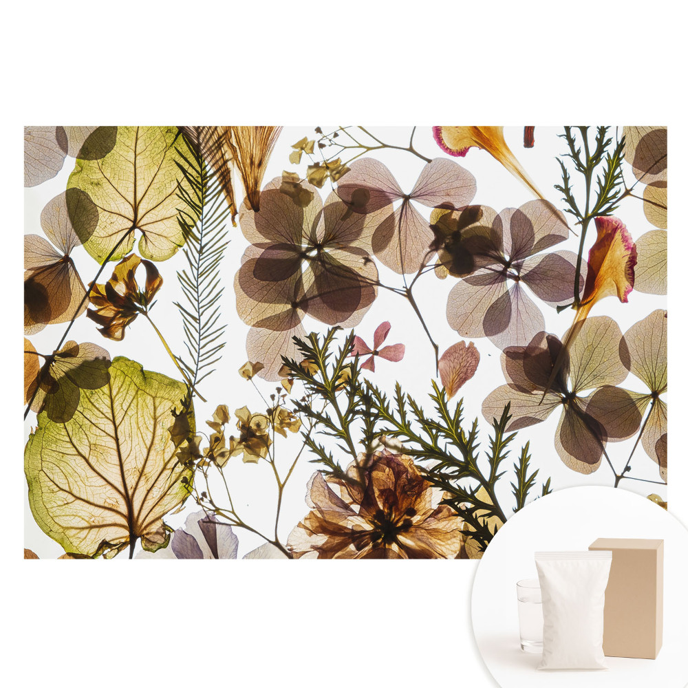 Papier peint intissé Feuilles et fleurs séchées style bohème