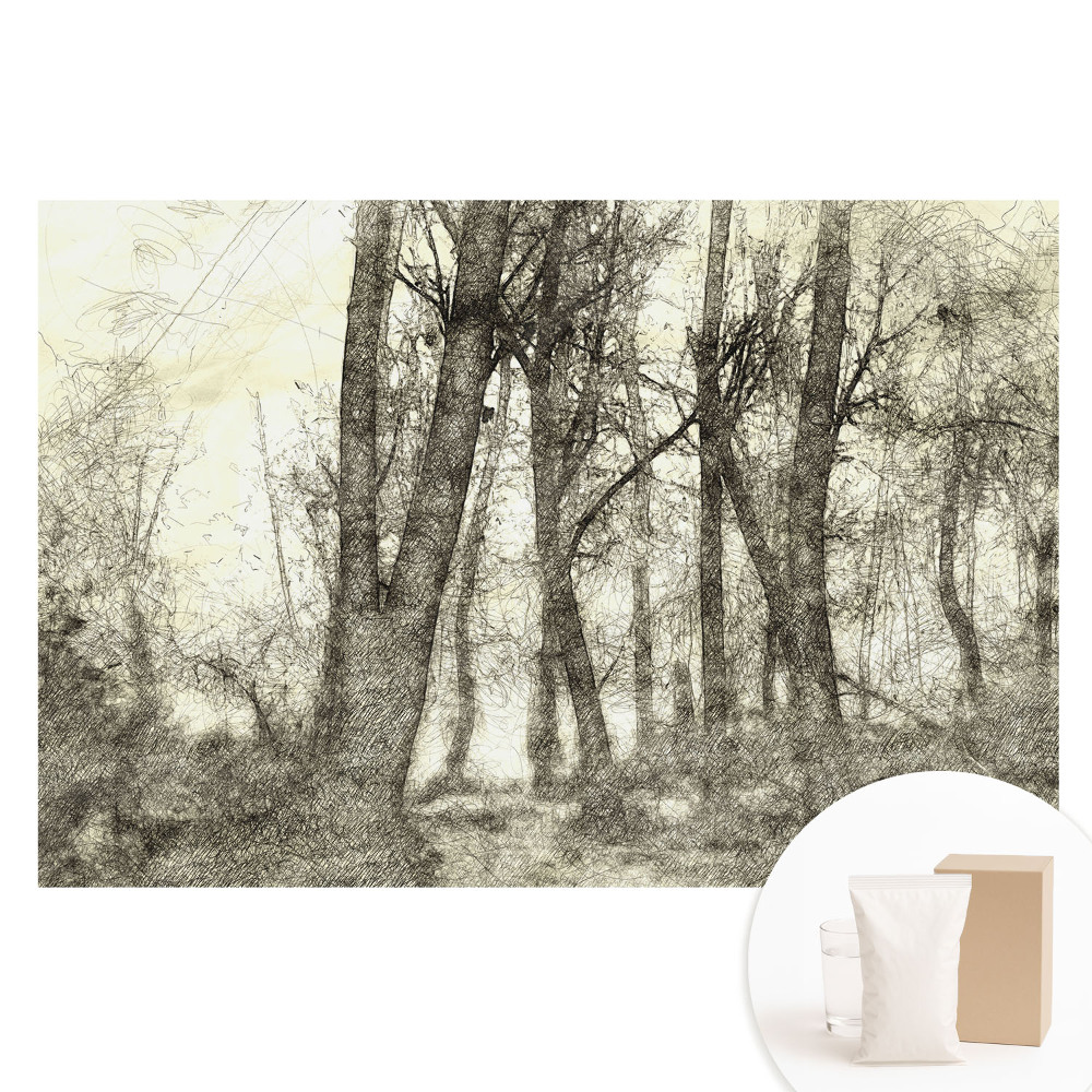 Papier peint photographique intissé Le paysage atmosphérique de la forêt