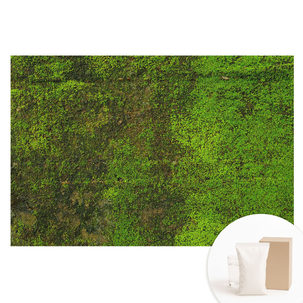 Papier peint intissé texture organique mousse