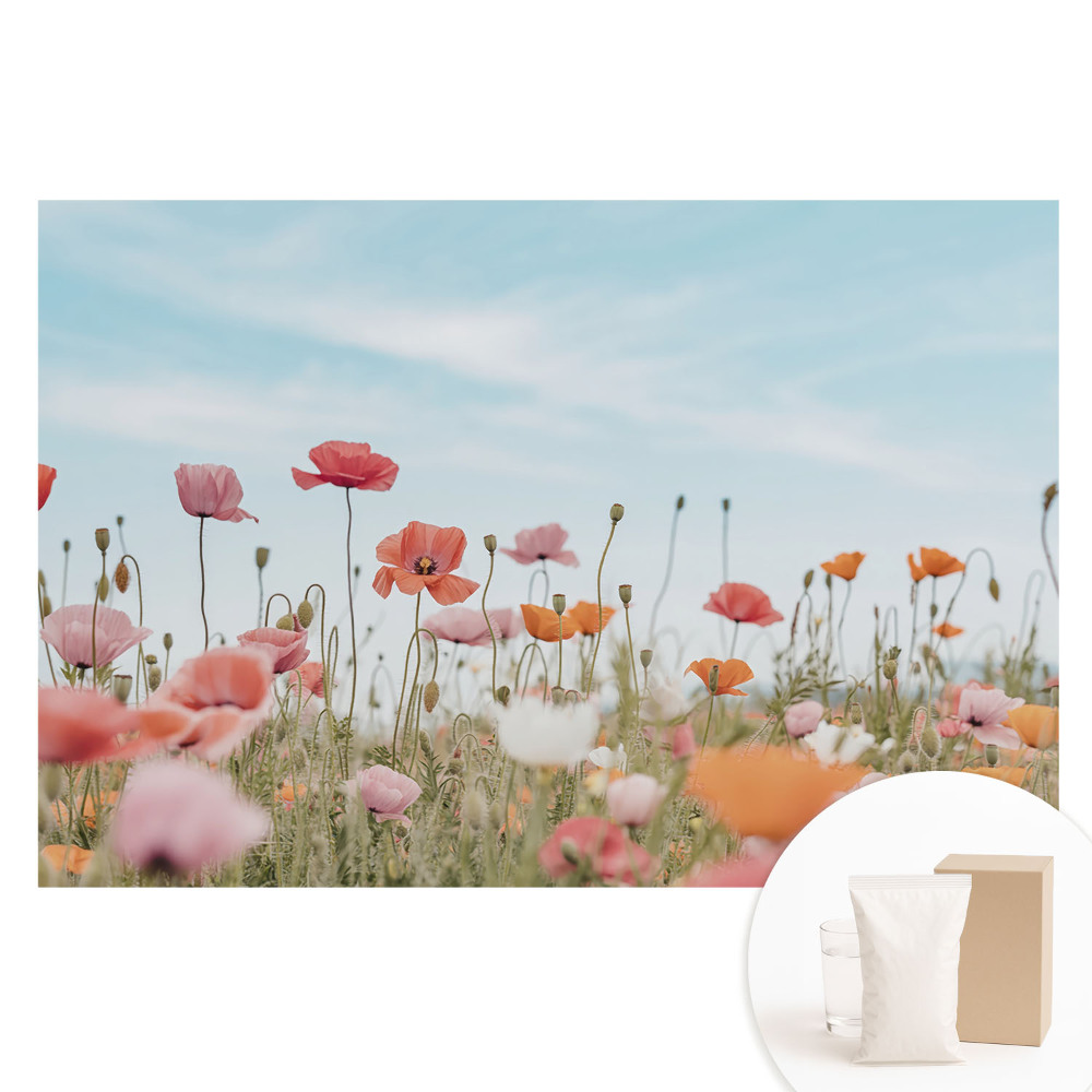 Papier peint intissé imprimé Des coquelicots colorés sur fond de ciel bleu