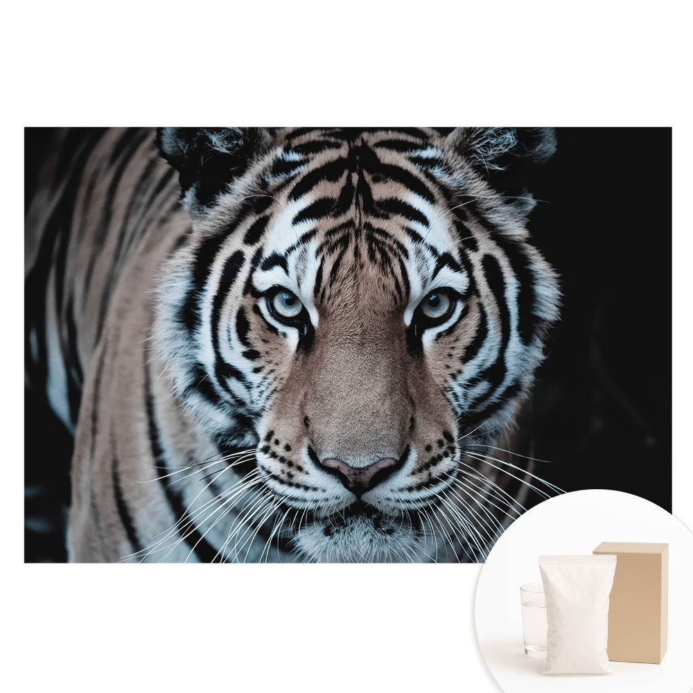 Papier peint intissé motif tigre à composition dynamique