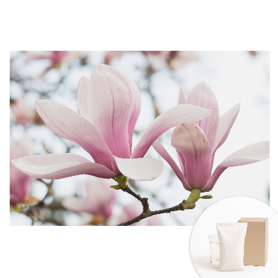 Papier peint intissé Les magnolias roses, motif nature romantique