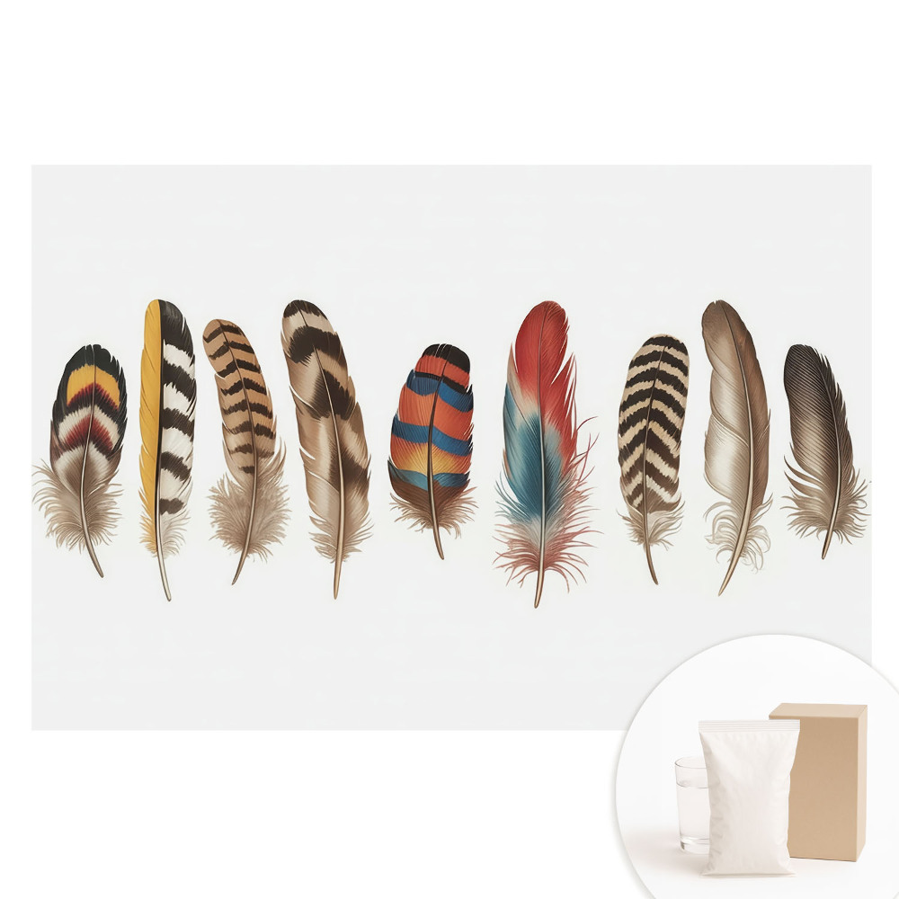 Papier peint photo sur tissu non tissé Plumes colorées, motif bohème unique