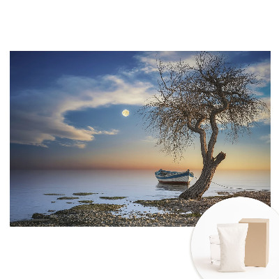 Papier peint panoramique intissé Coucher de soleil romantique avec bateau et arbre