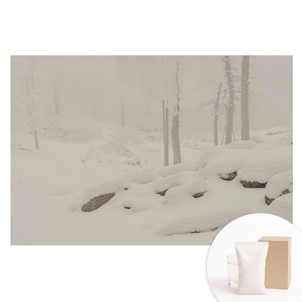 Papier peint photo grand format pour le mur Paysage d'hiver, forêt accueillante