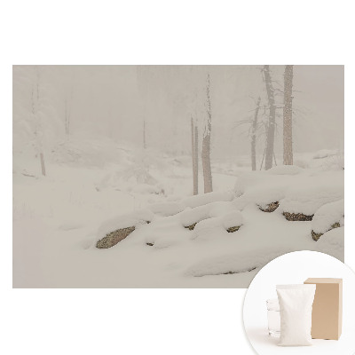 Papier peint photo grand format pour le mur Paysage d'hiver, forêt accueillante