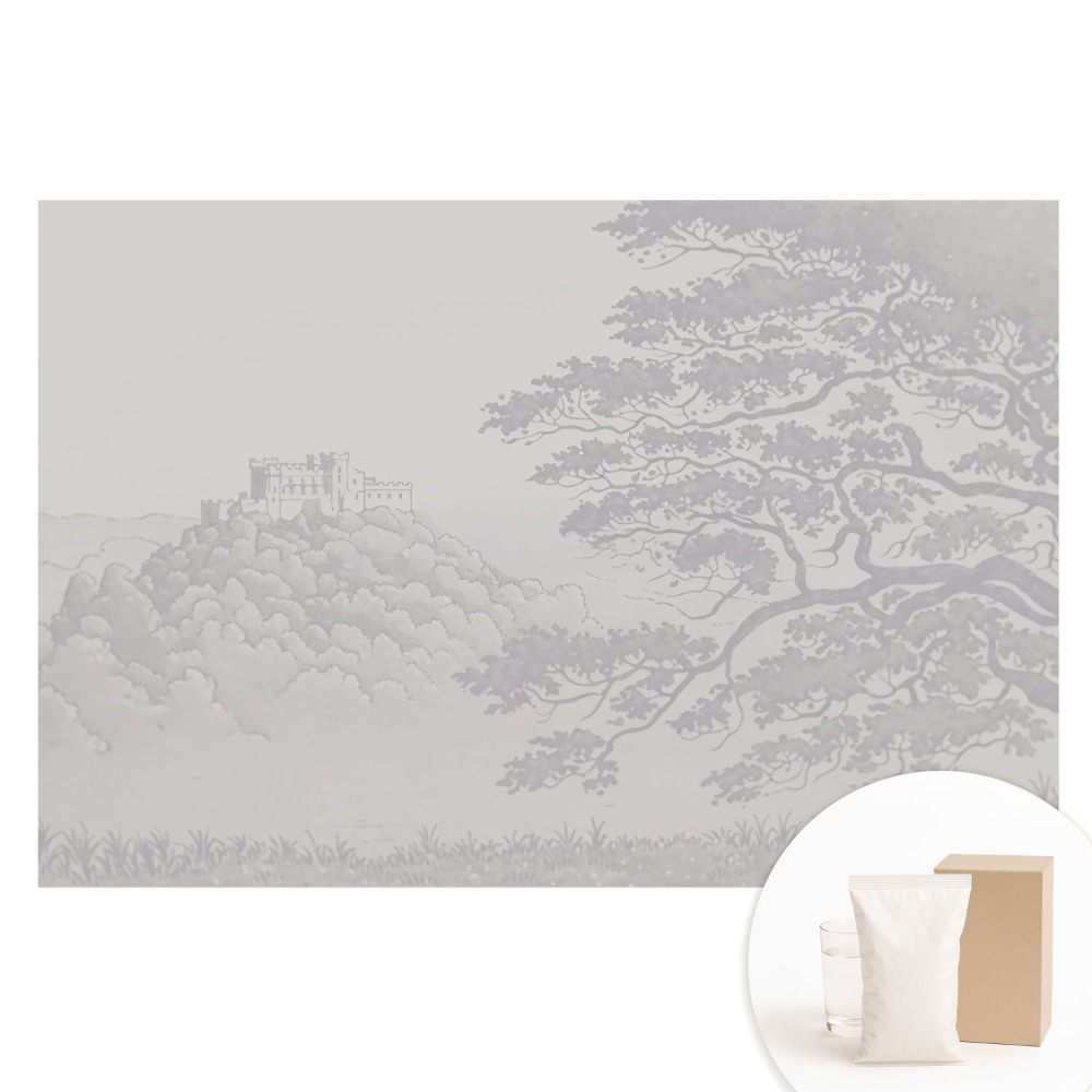 Papier peint panoramique intissé représentant un paysage de château entouré d'arbres